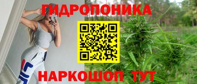 кокс Можга