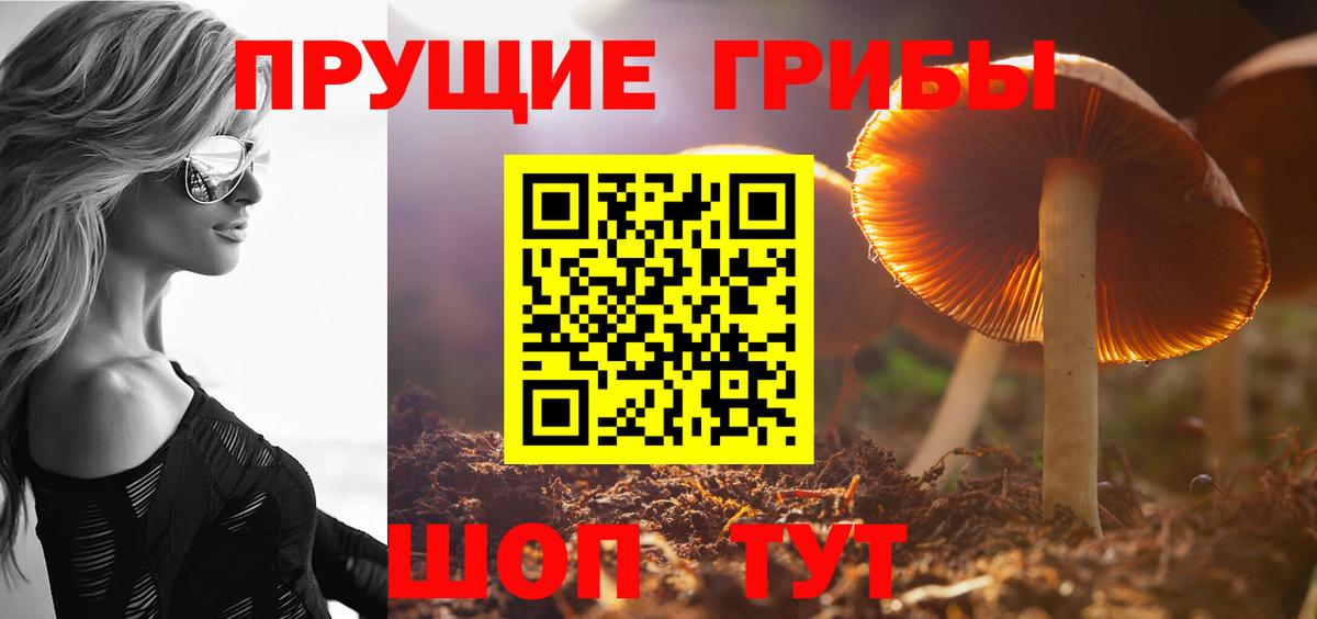 Галлюциногенные грибы мицелий  Вход с VPN  Гулькевичи 