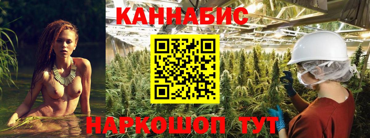 Шишки марихуана OG Kush Гулькевичи